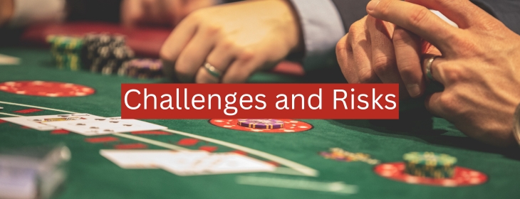 Challenges and Risks